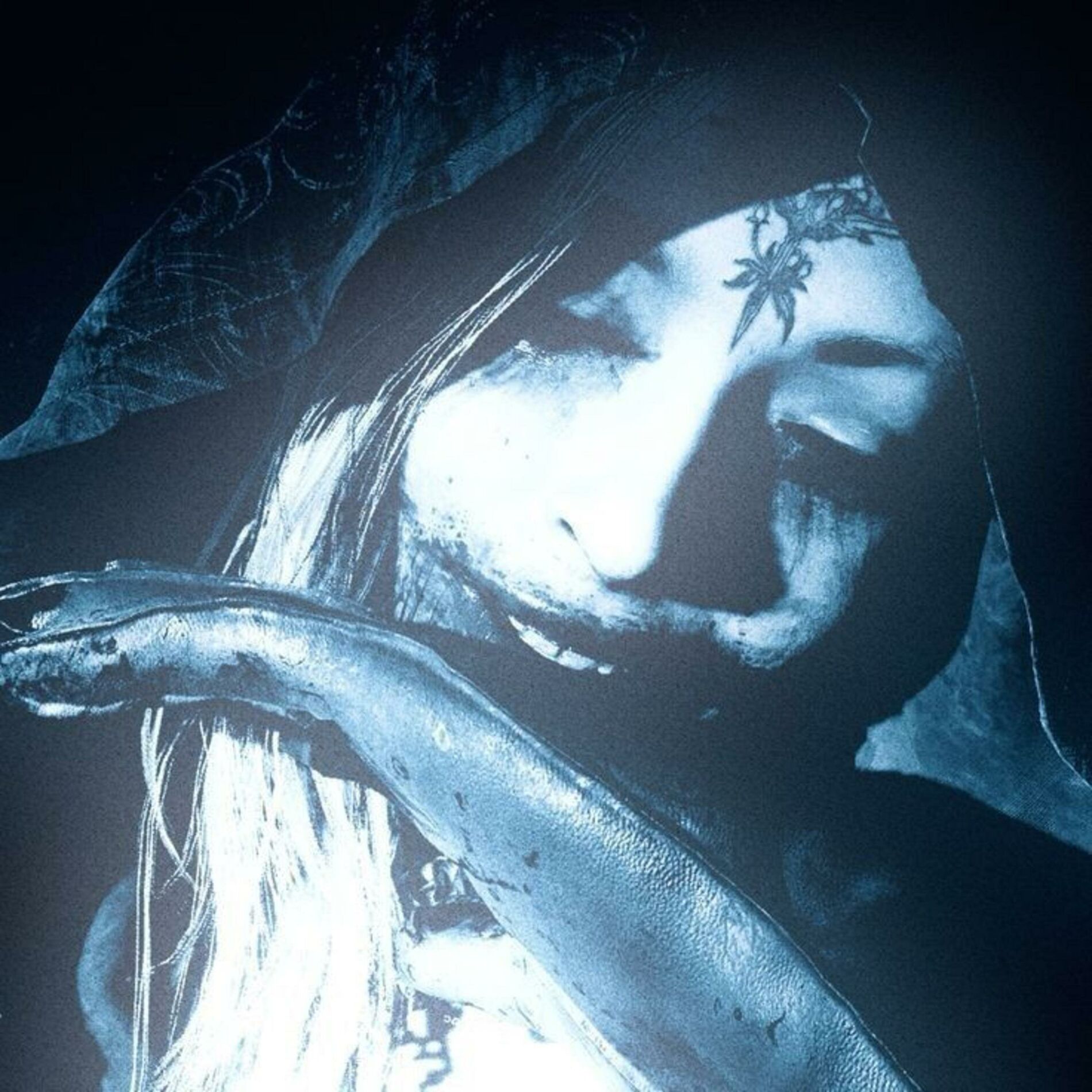Album cover of Blxxd Bxrne
