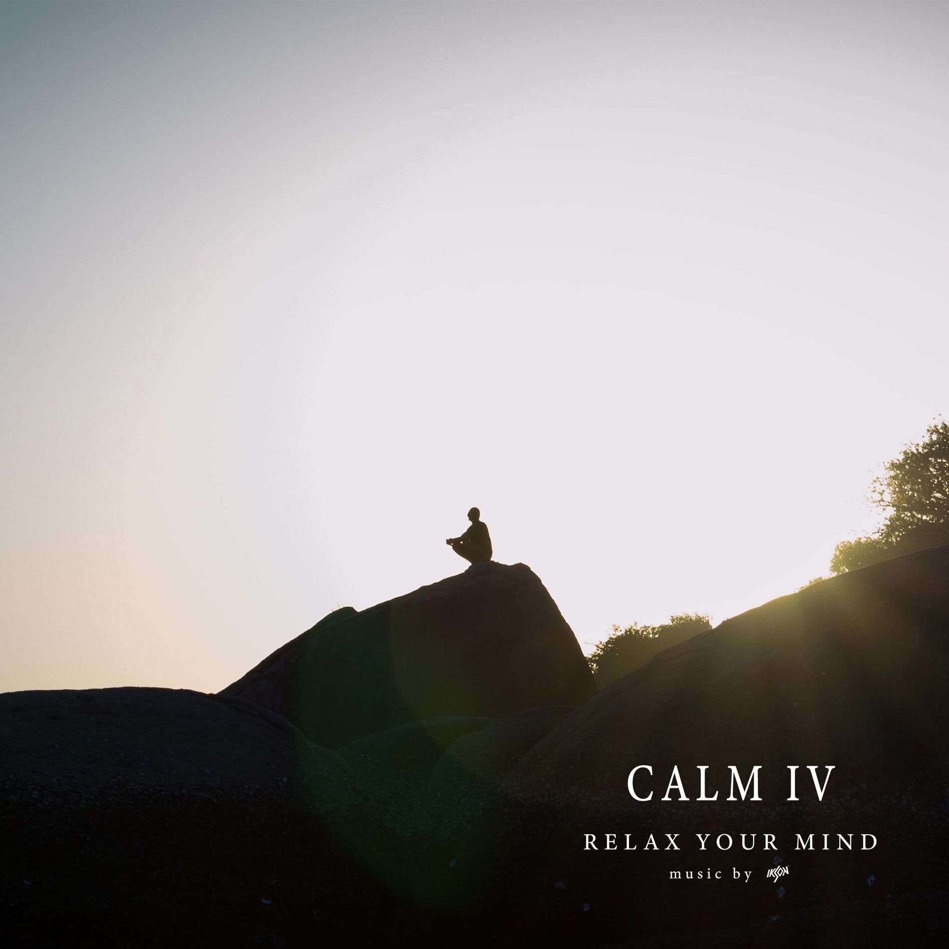 Album cover of Calm IV