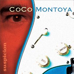 Cover of Suspicion