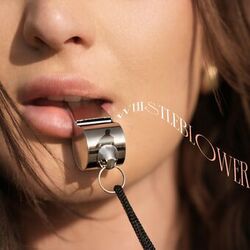 Cover of Whistleblower