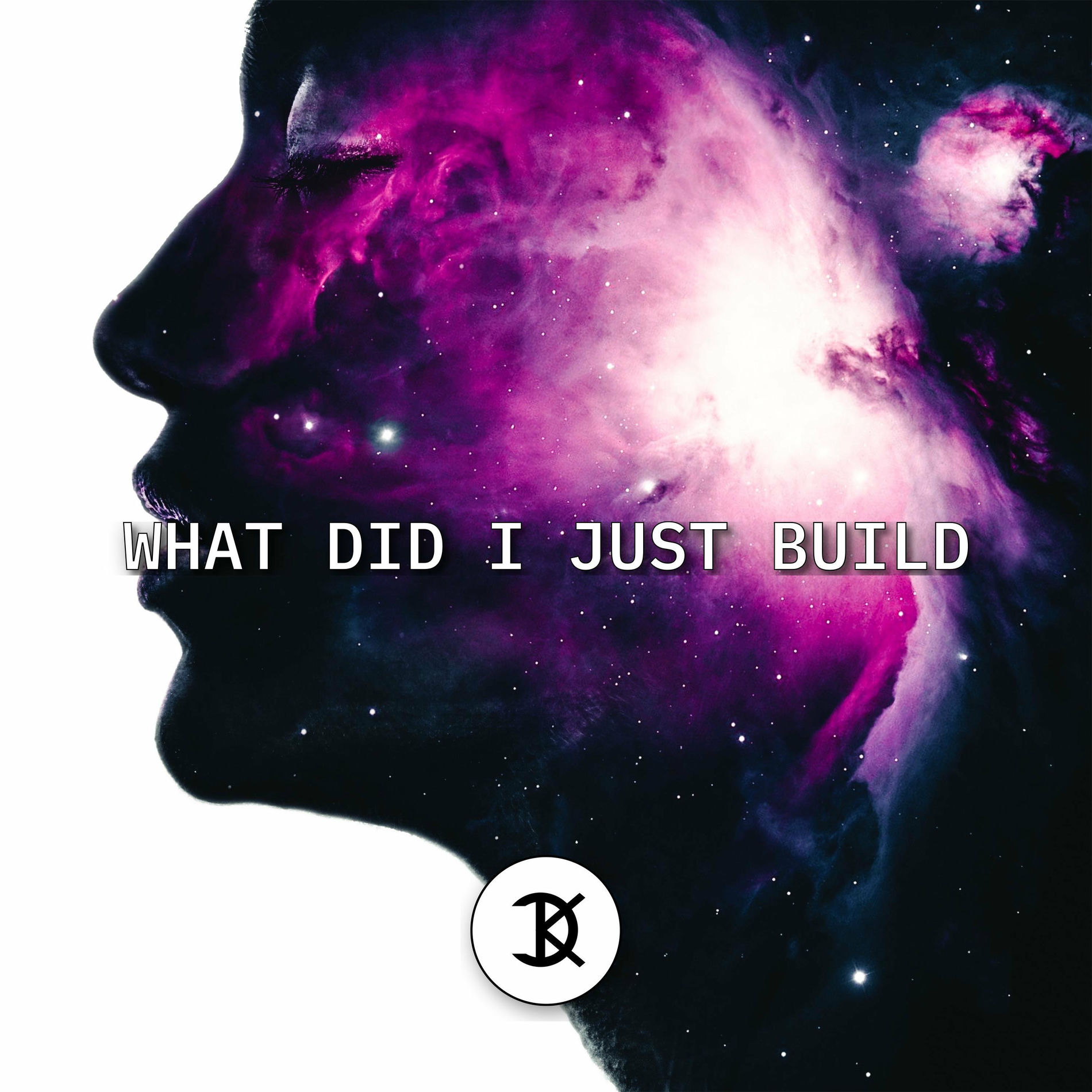 Album cover of What Did I Just Build