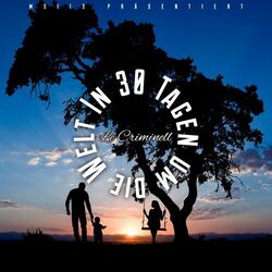 Cover of In 30 Tagen um die Welt