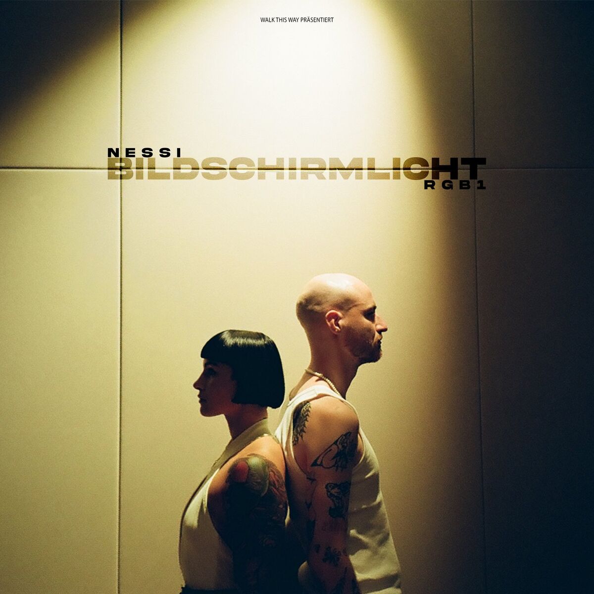 Album cover of Bildschirmlicht