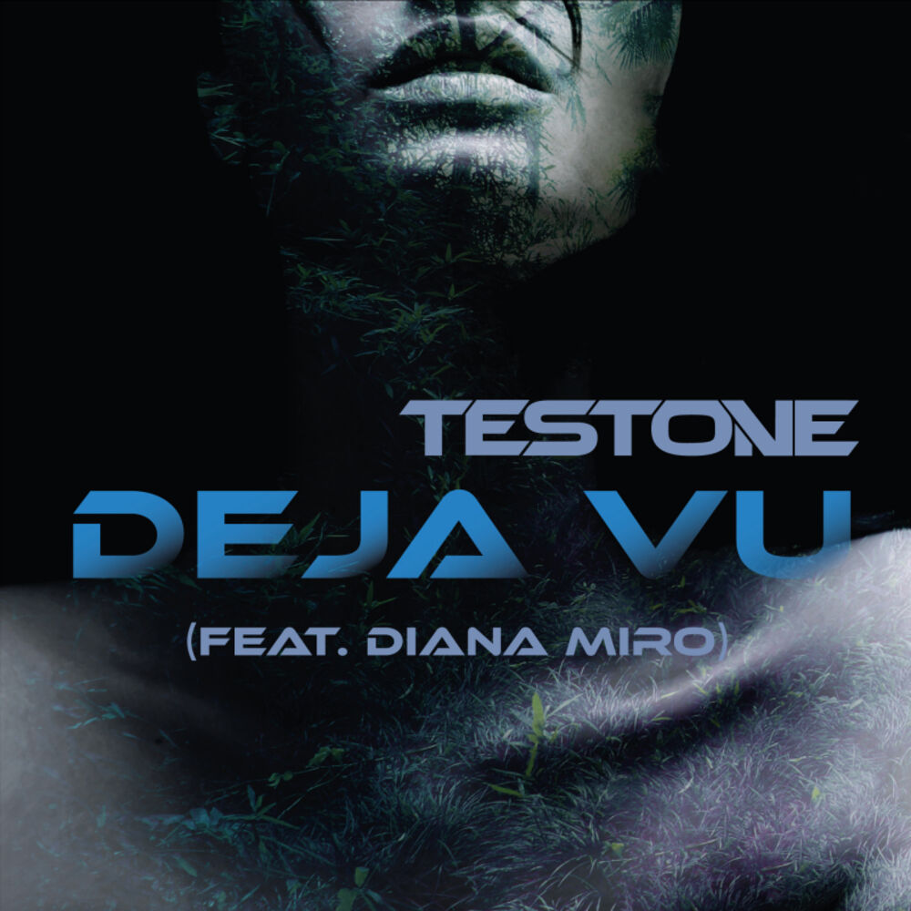 Picture of Deja Vu (feat. Diana Miro)