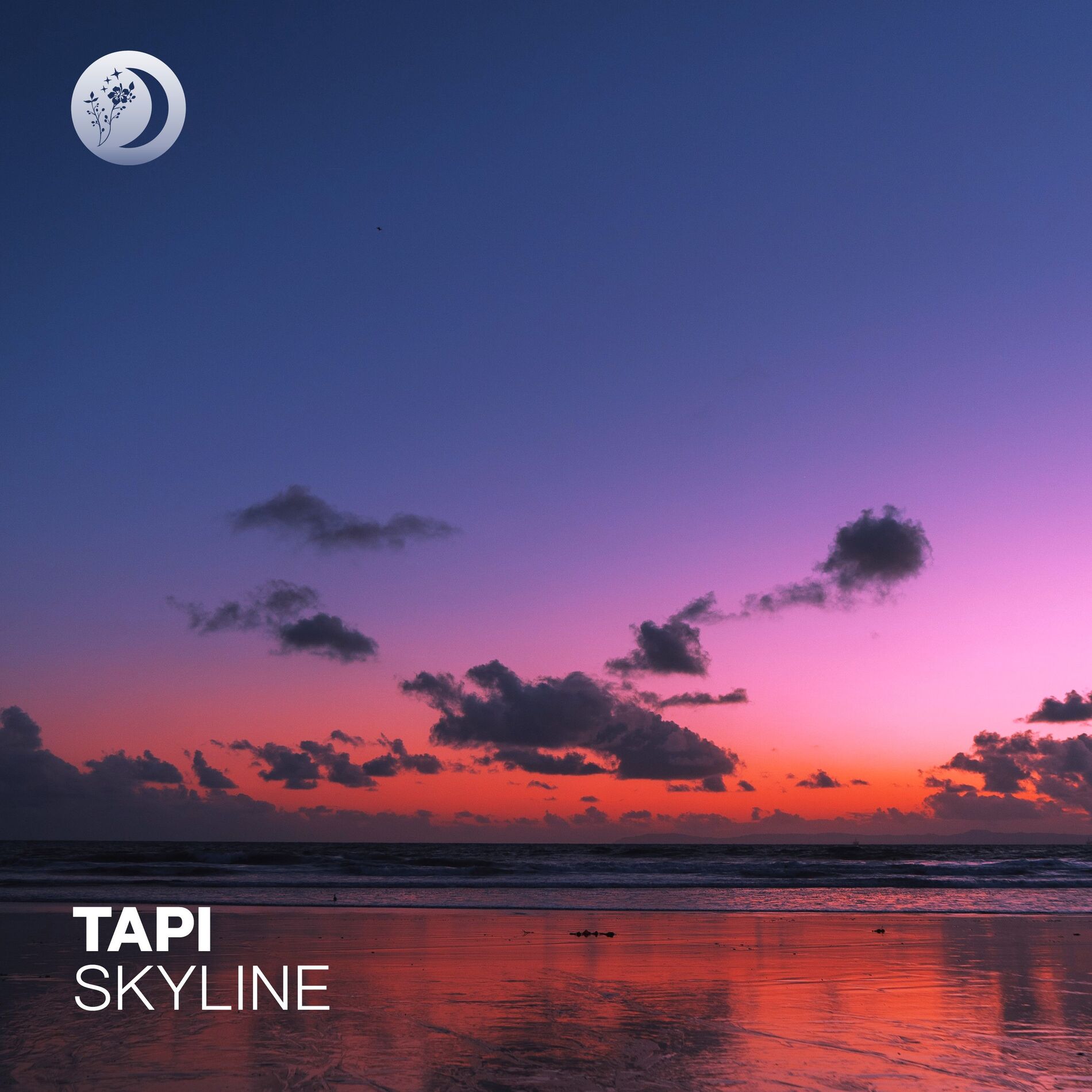 Album cover of Skyline