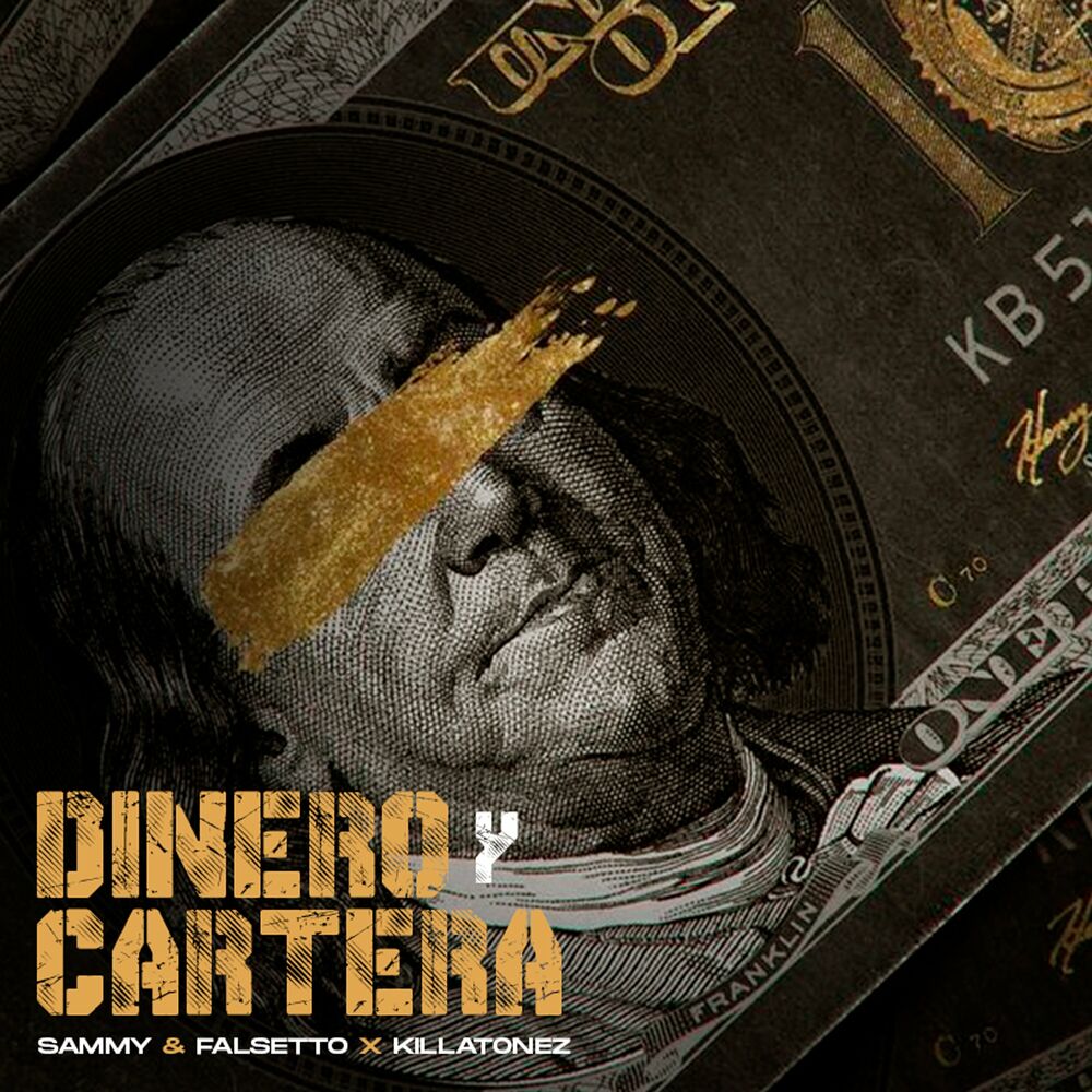 Picture of Dinero y Cartera