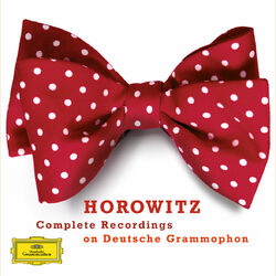 Cover of Vladimir Horowitz - Complete Recordings on Deutsche Grammophon