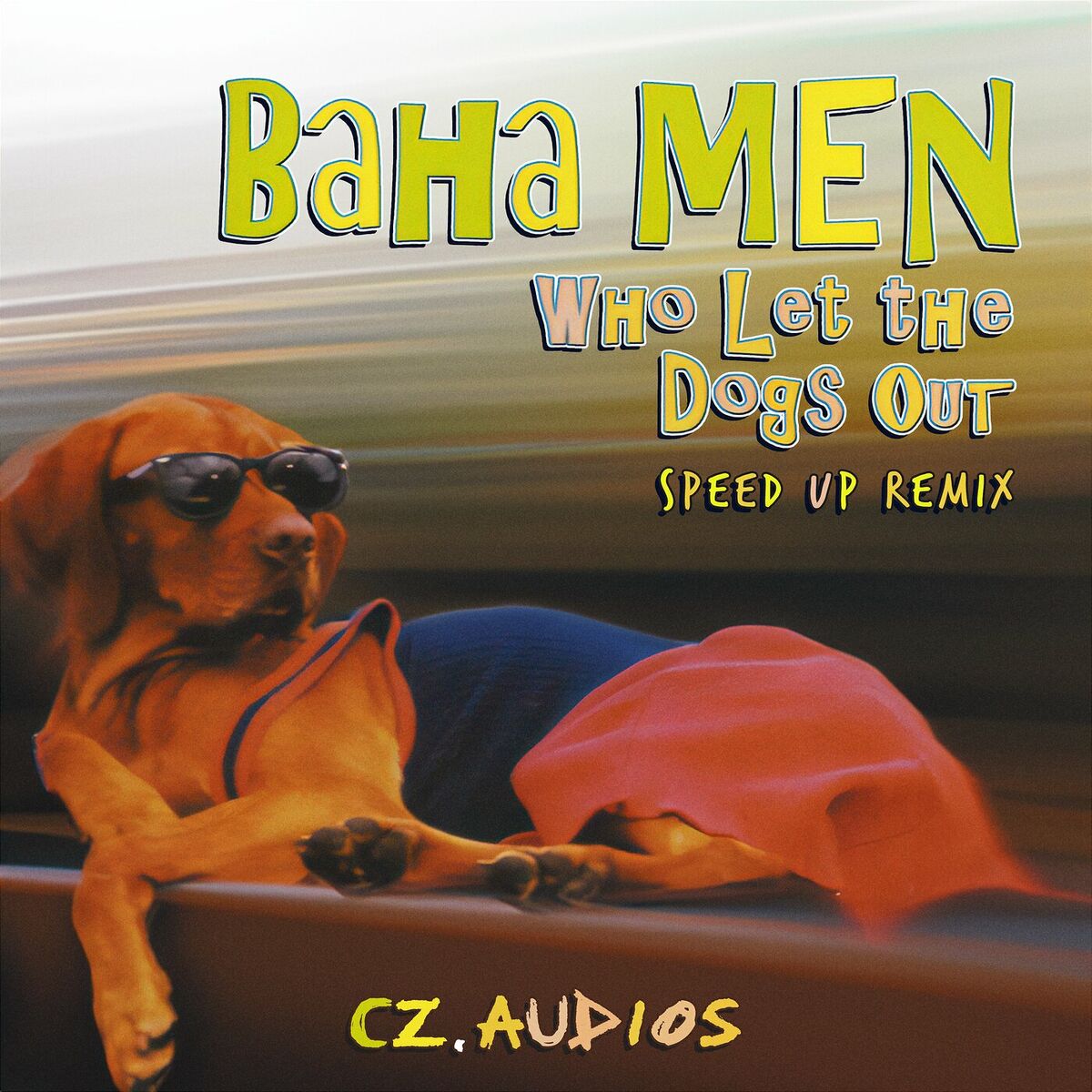 Album cover of Who Let The Dogs Out