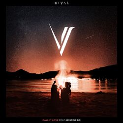Cover of Call it Love