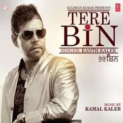 Cover of Tere Bin