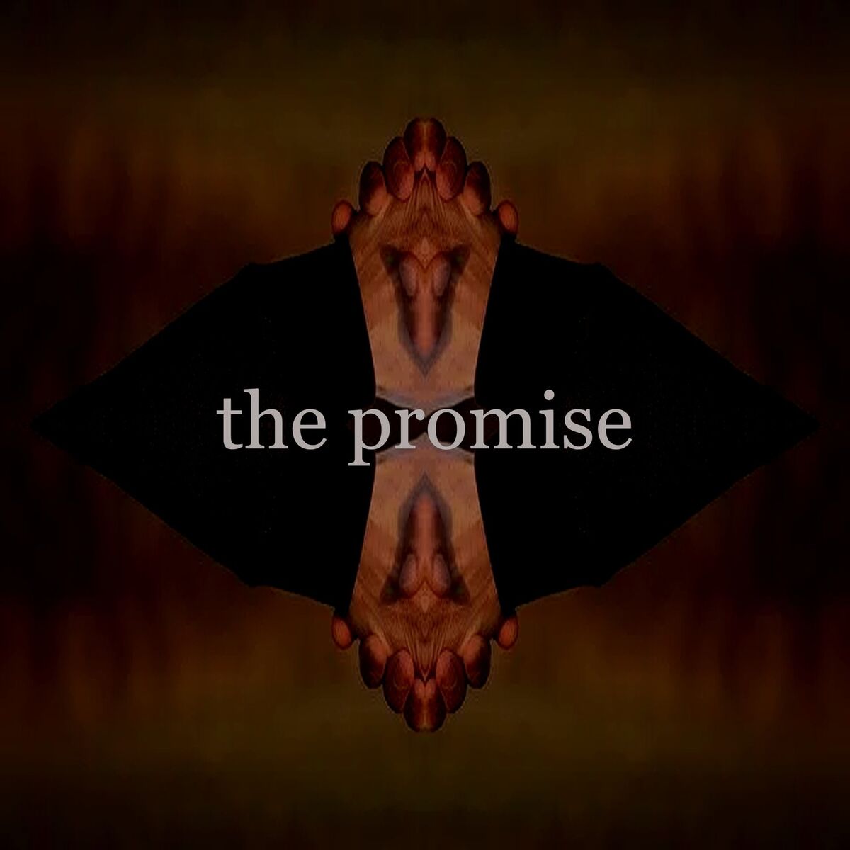 Album cover of The Promise