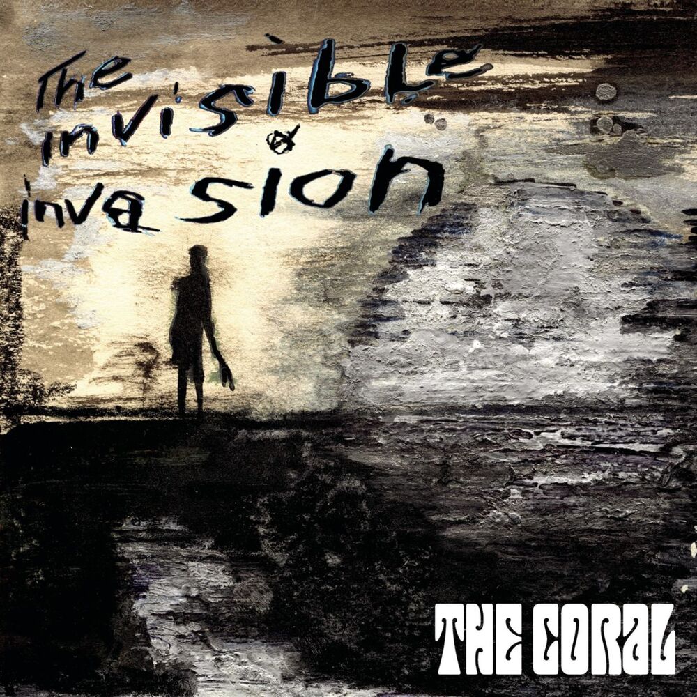 Picture of The Invisible Invasion