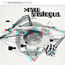 Cover of Raw Analogue