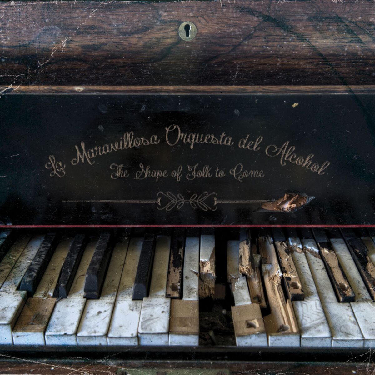 Album cover of The Shape of Folk to Come