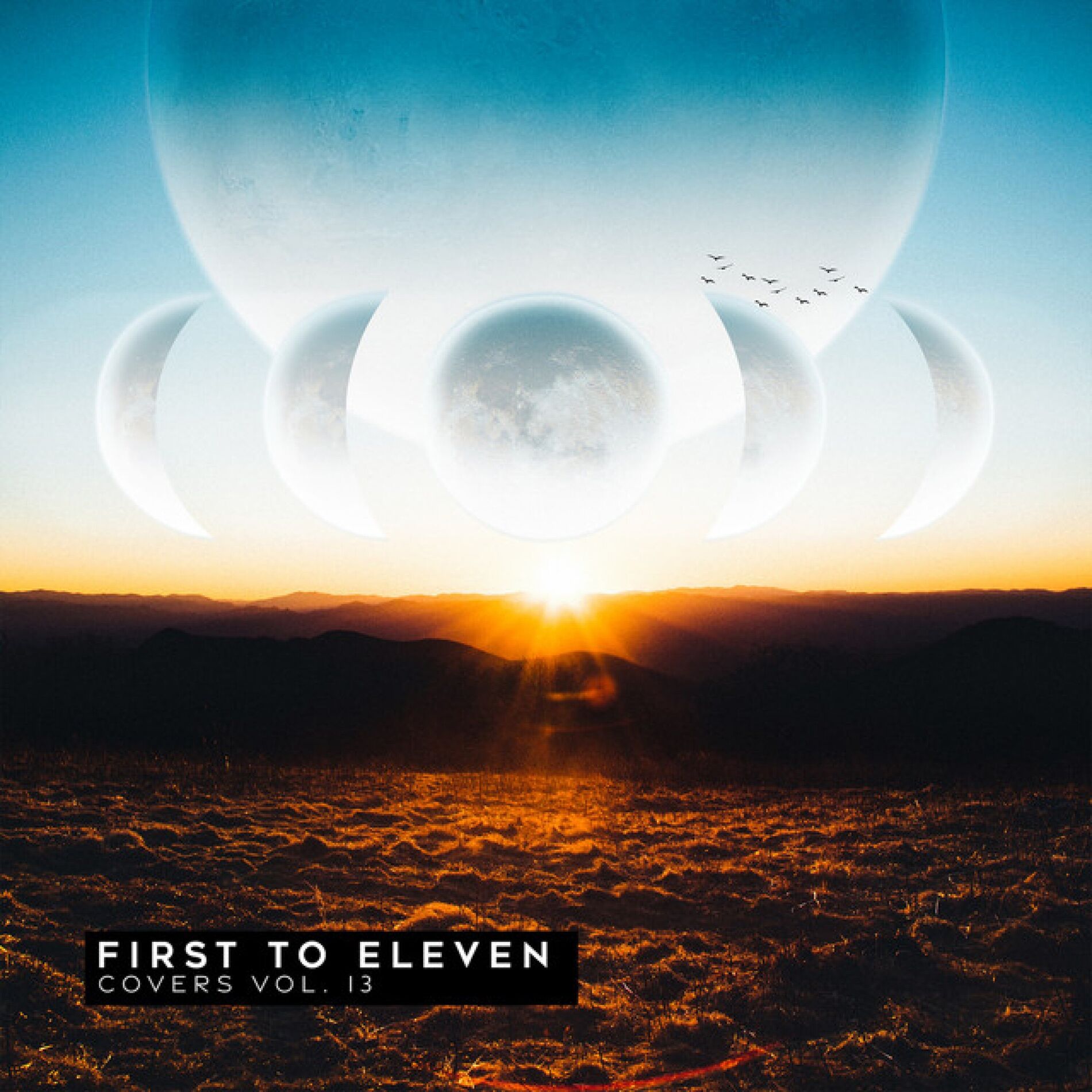 Album cover of Covers Vol. 13