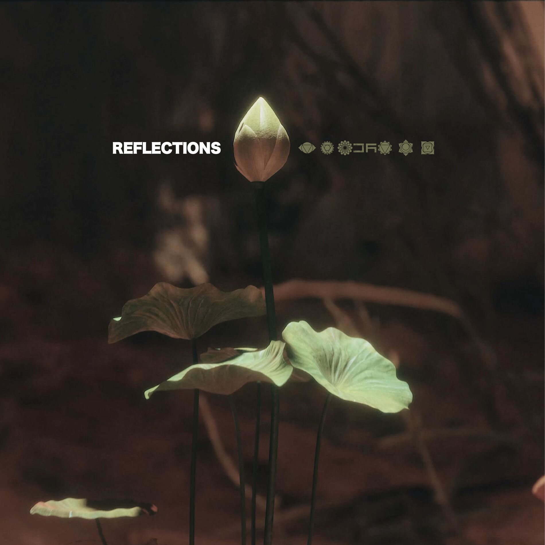 Album cover of Reflections