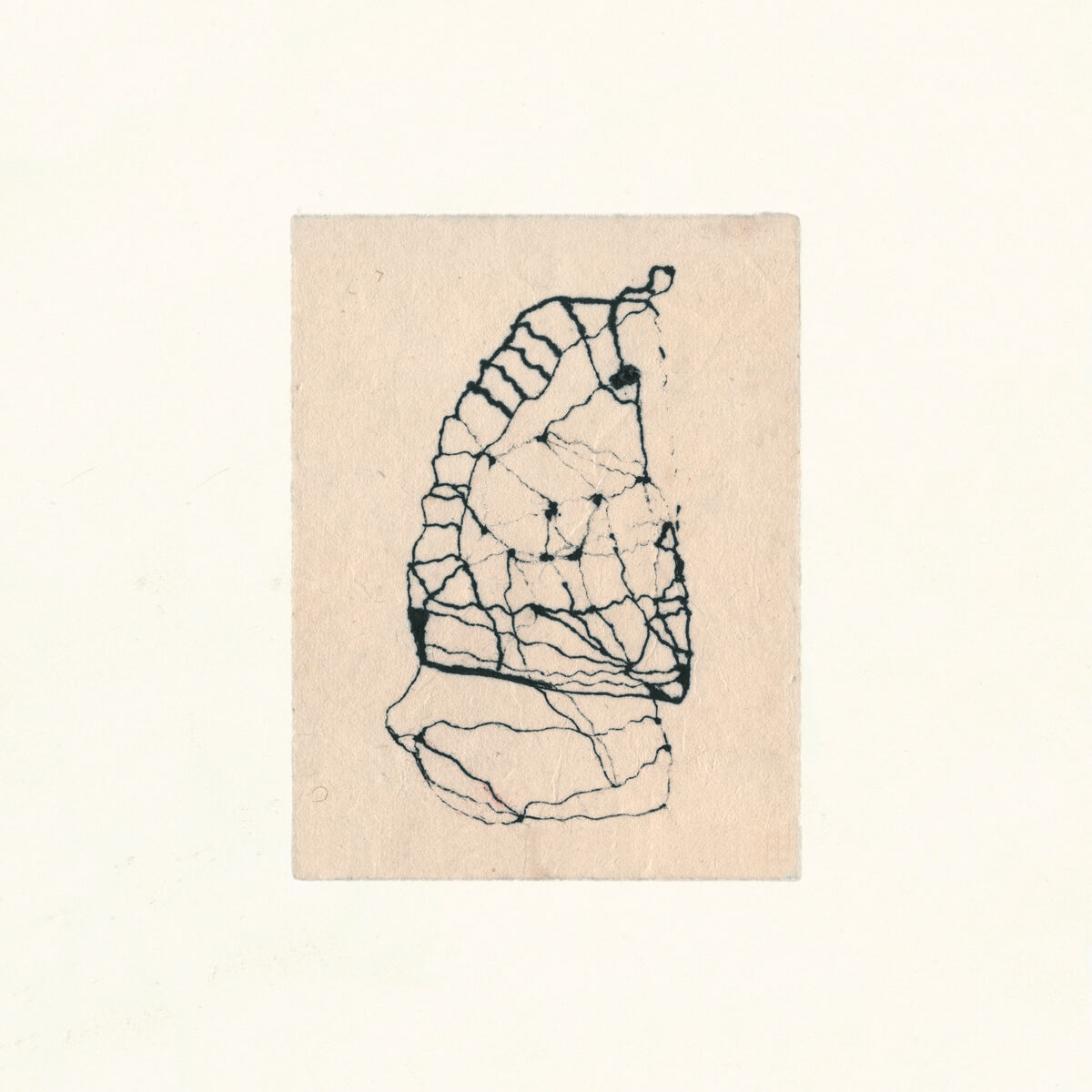 Album cover of Verbrennungsmotor