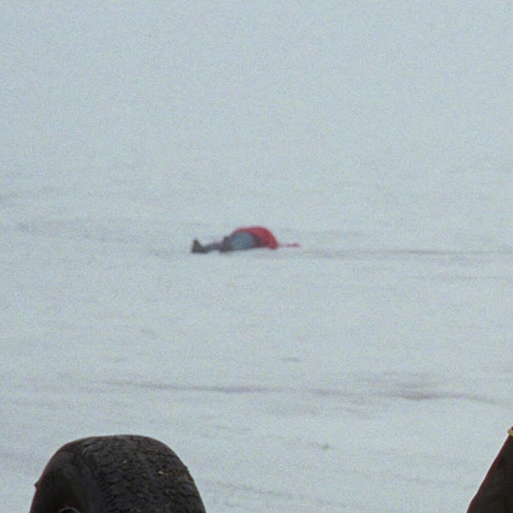 Picture of Fargo.