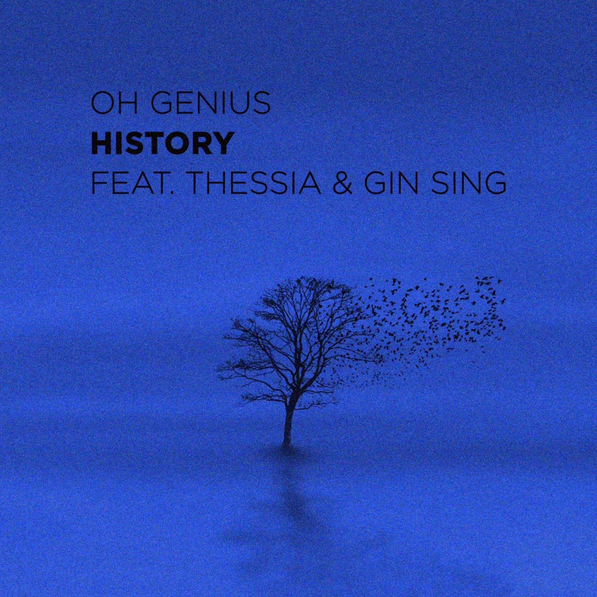 Album cover of History (feat. Thessia & Gin Sing)