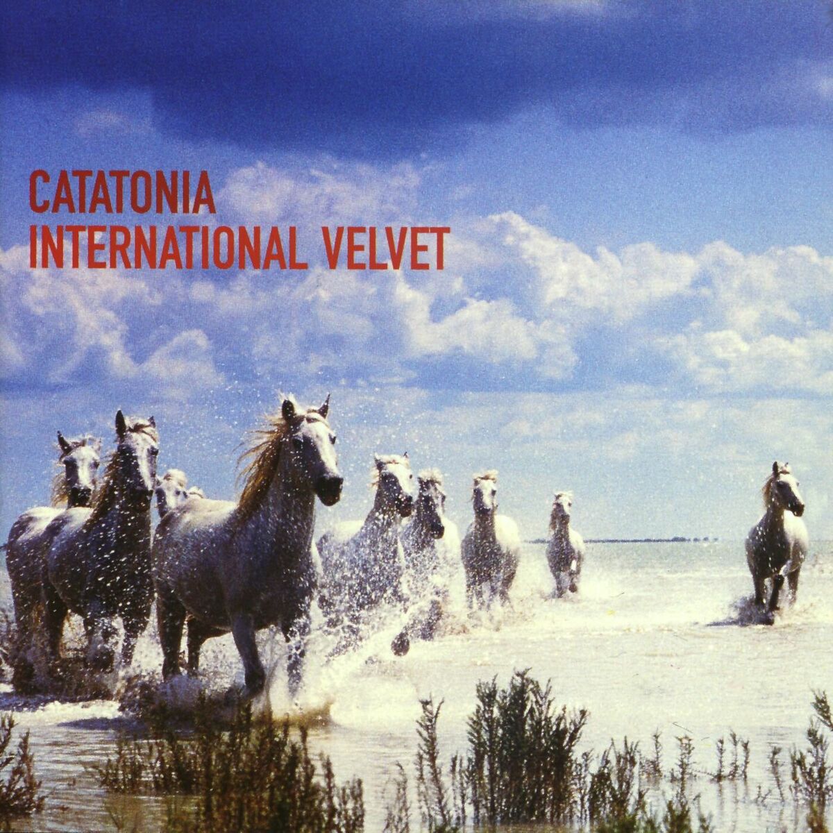 Album cover of International Velvet