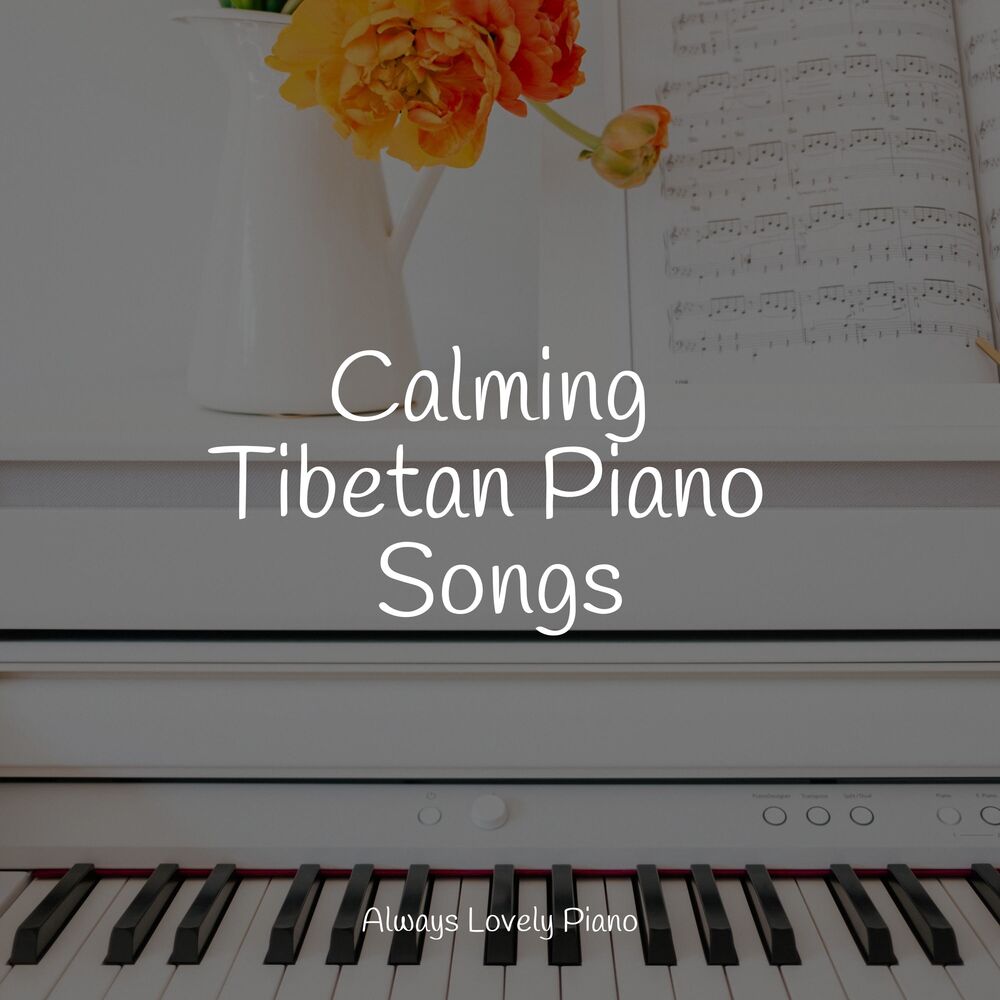Picture of 50 Soft and Chill Songs for Training