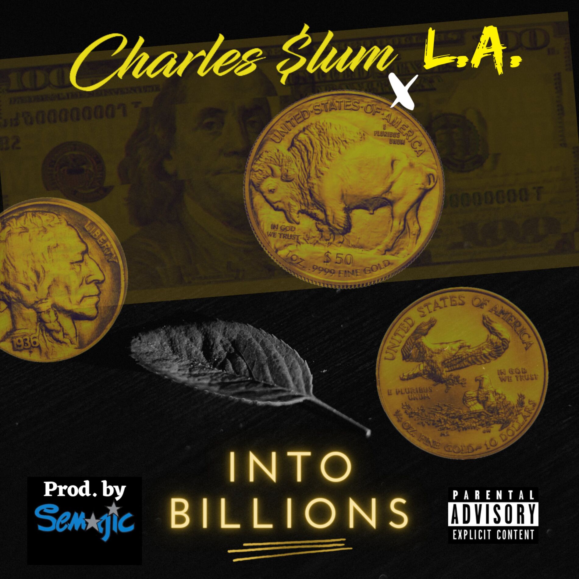 Album cover of Into Billions