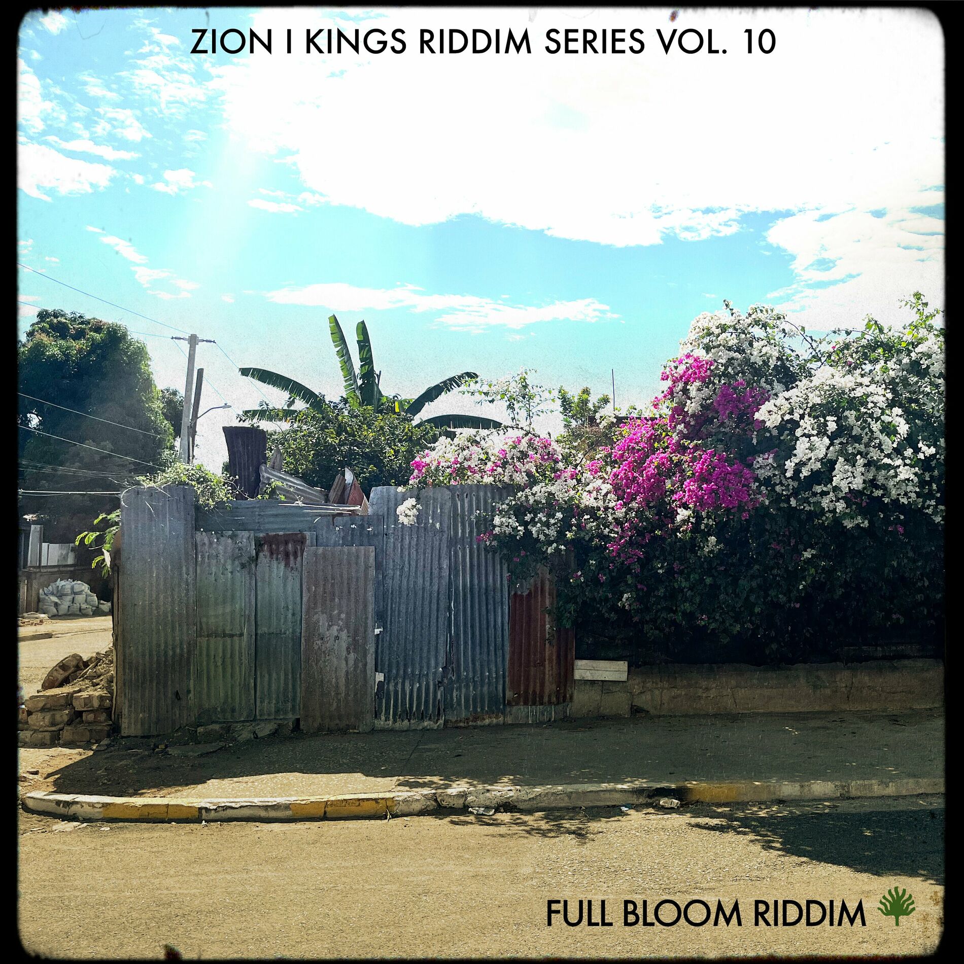 Album cover of Full Bloom Riddim