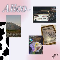 Cover of ALICO