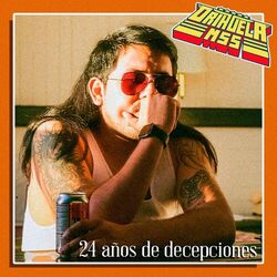 Cover of 24 Años de Decepciones