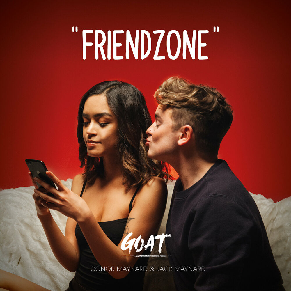 Picture of Friendzone