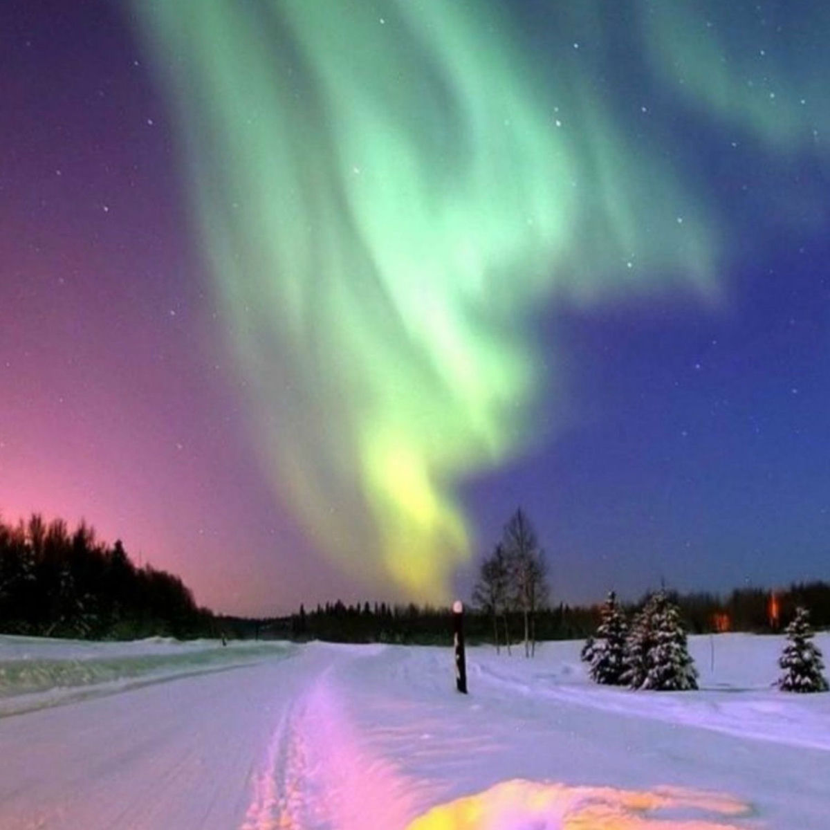 Album cover of what are u stupid ?