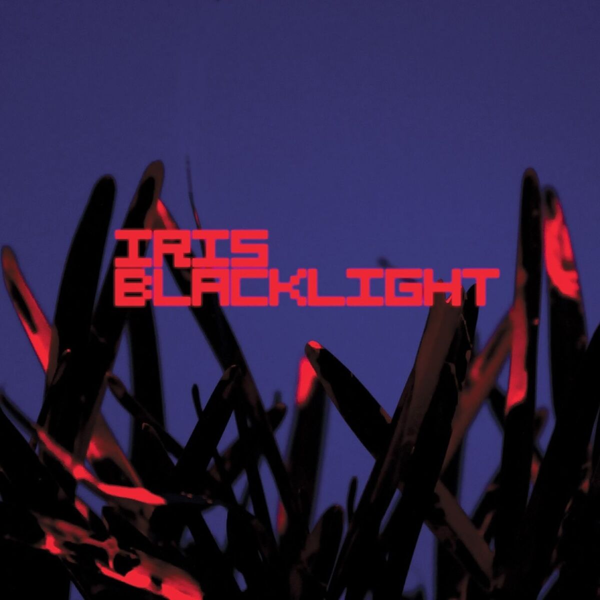 Album cover of Blacklight