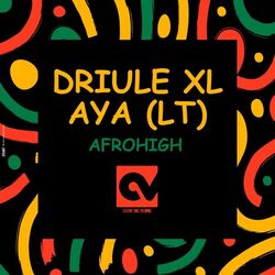 Cover of Afrohigh