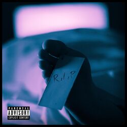 Cover of R.I.P