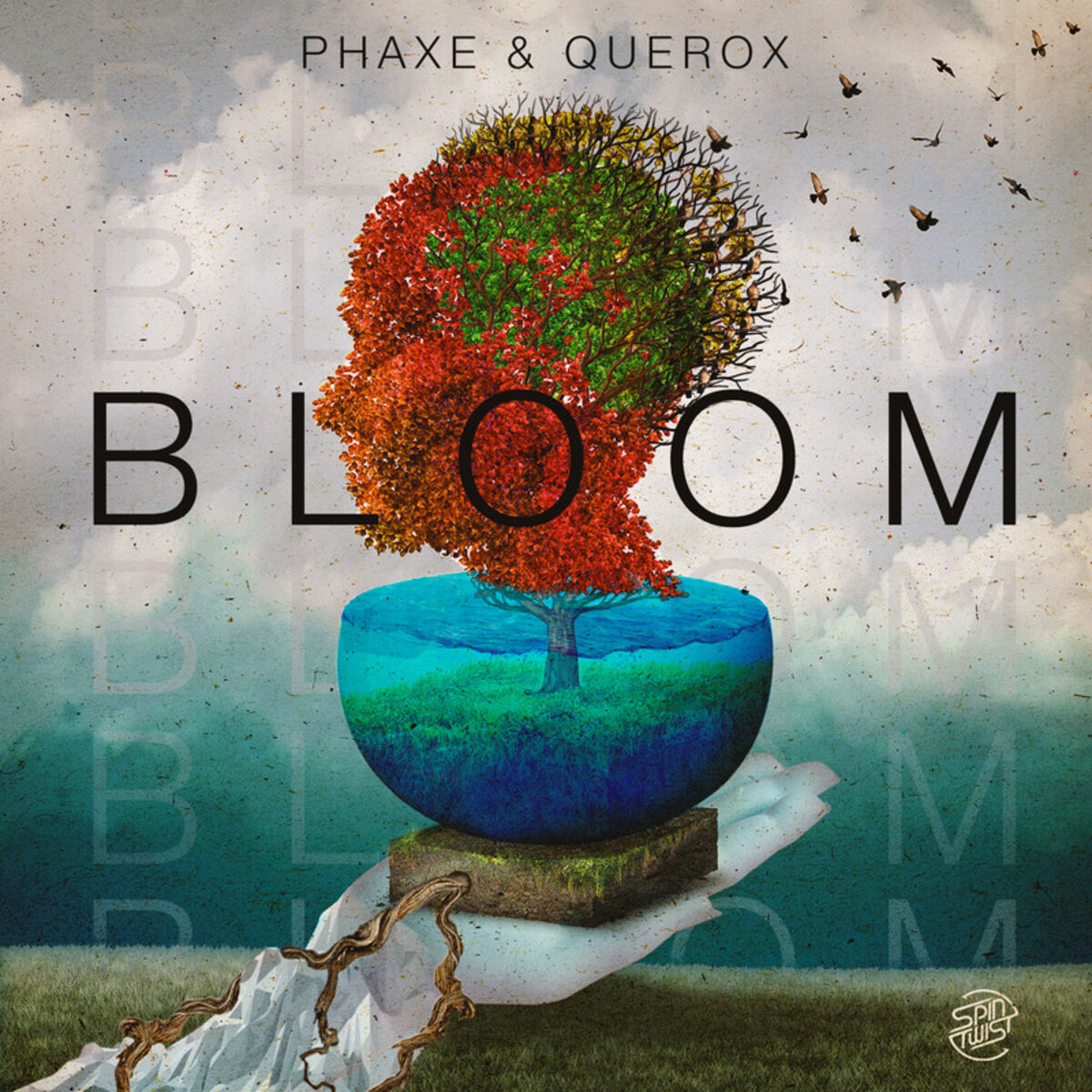 Album cover of Bloom