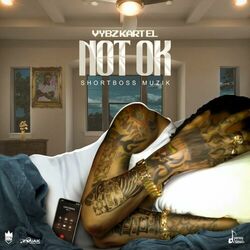 Cover of Not Ok