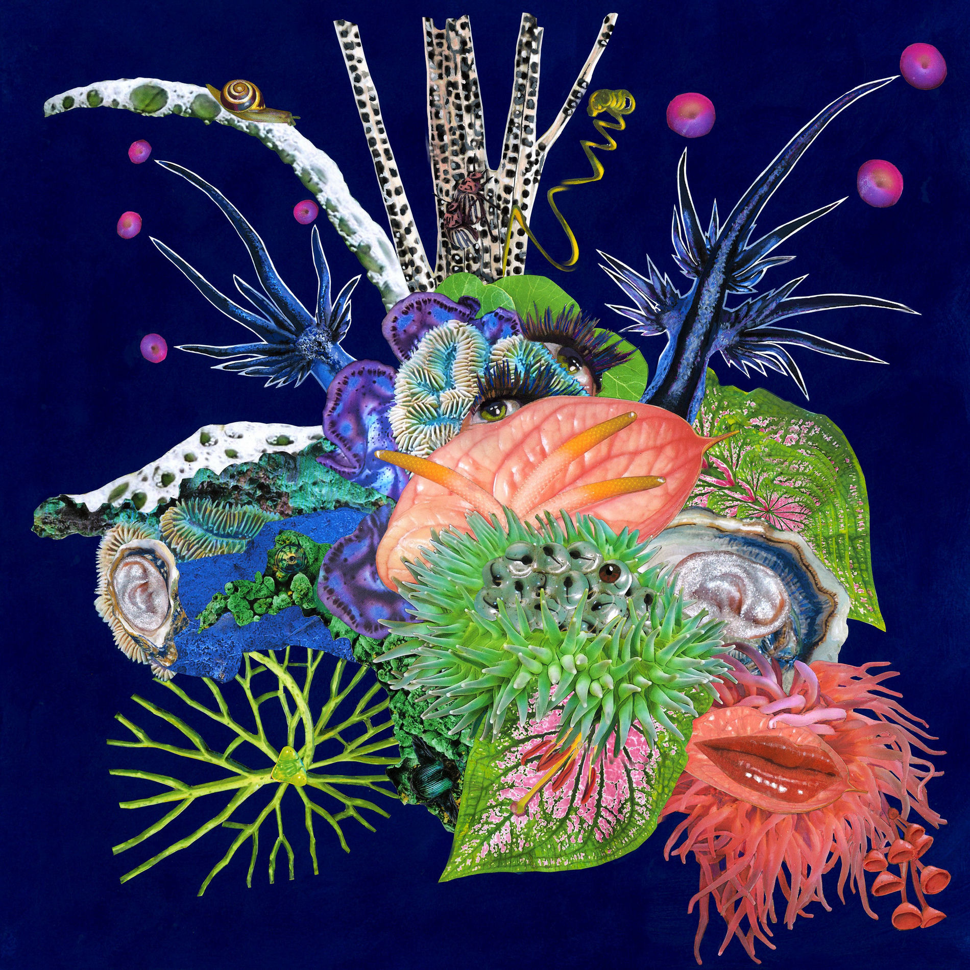 Album cover of Touche