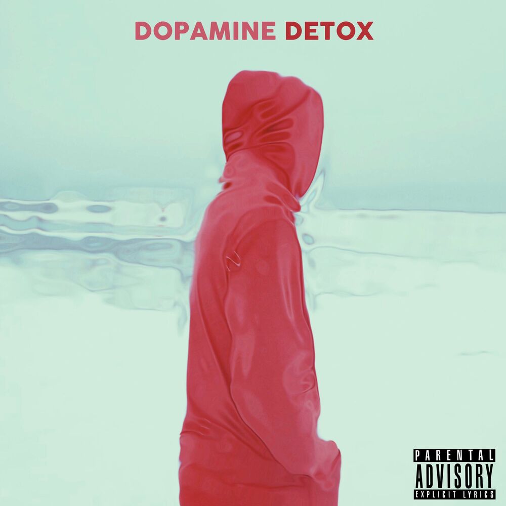 Picture of Dopamine Detox