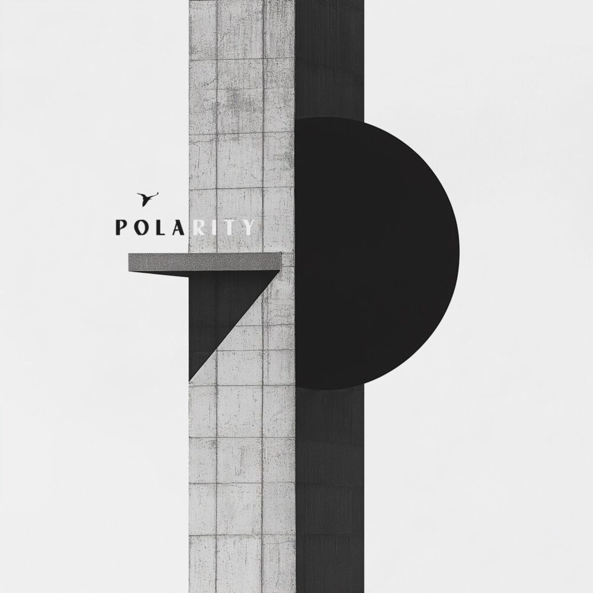 Album cover of Polarity