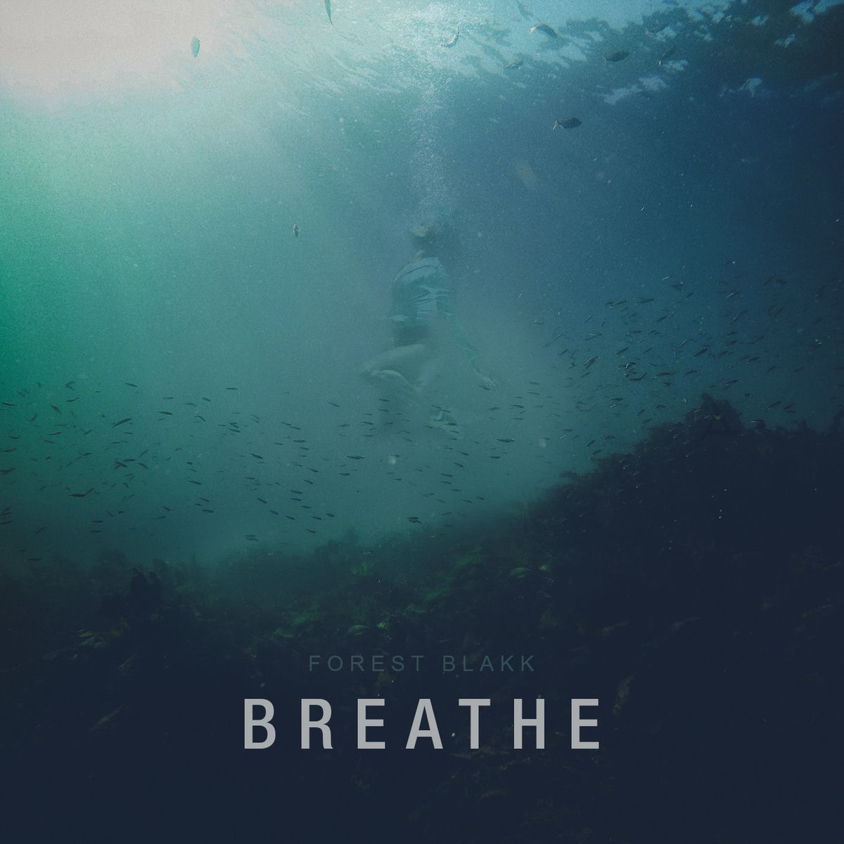 Album cover of Breathe