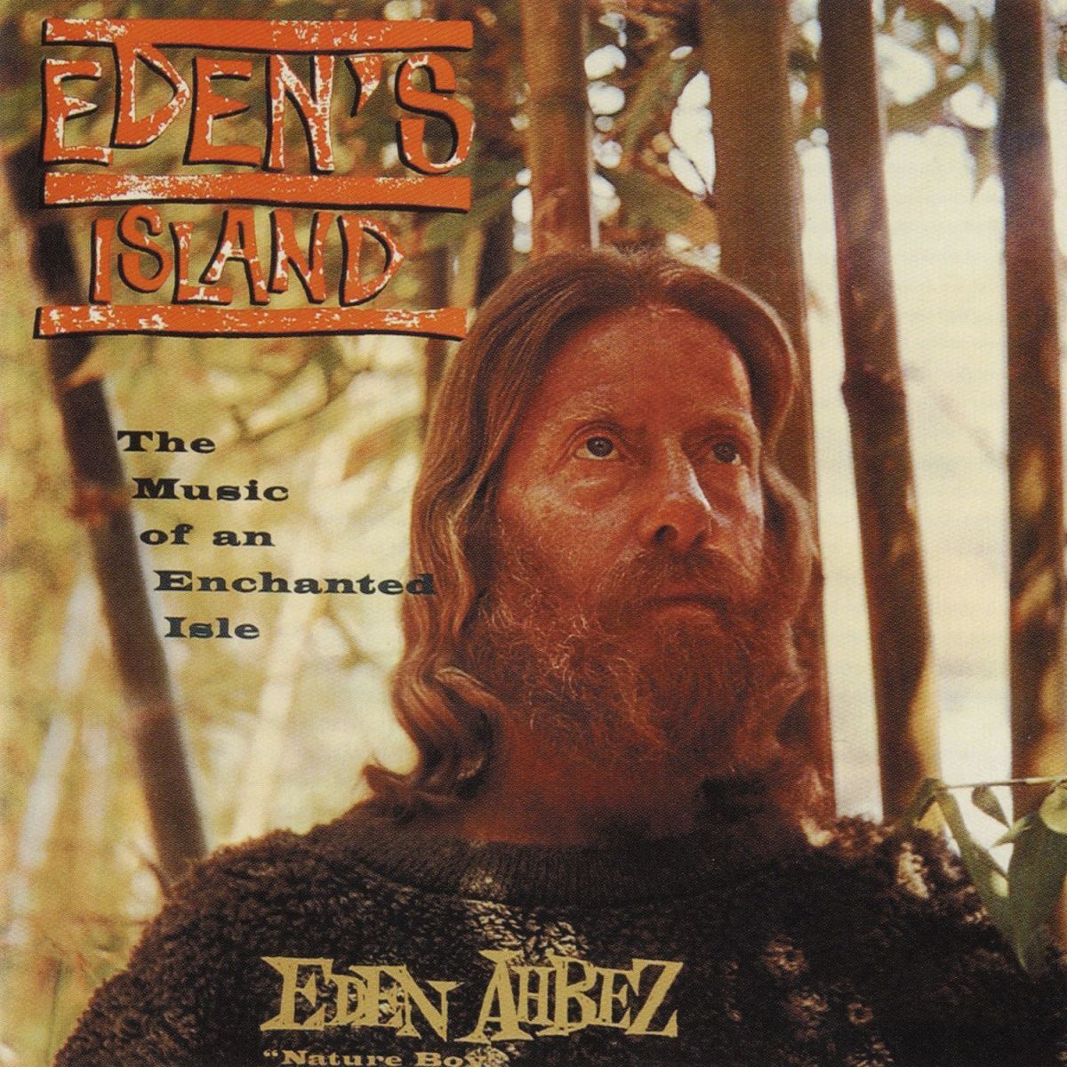Album cover of The Wanderer