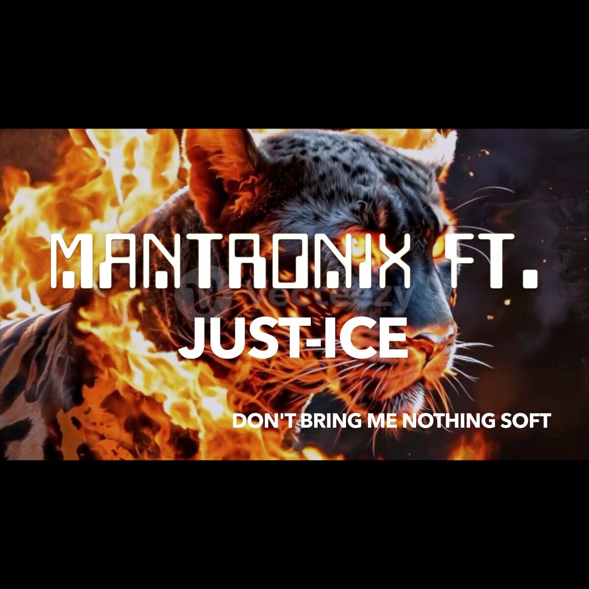 Album cover of Don't Bring Me Nothing Soft