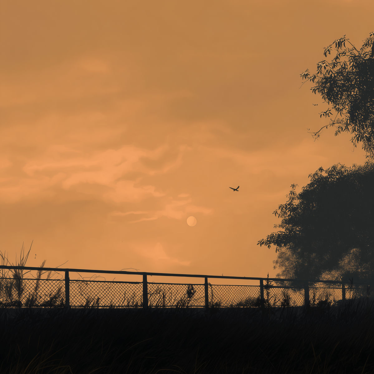 Album cover of where we first met