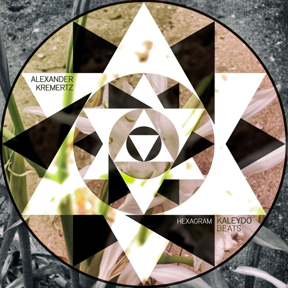 Picture of Hexagram