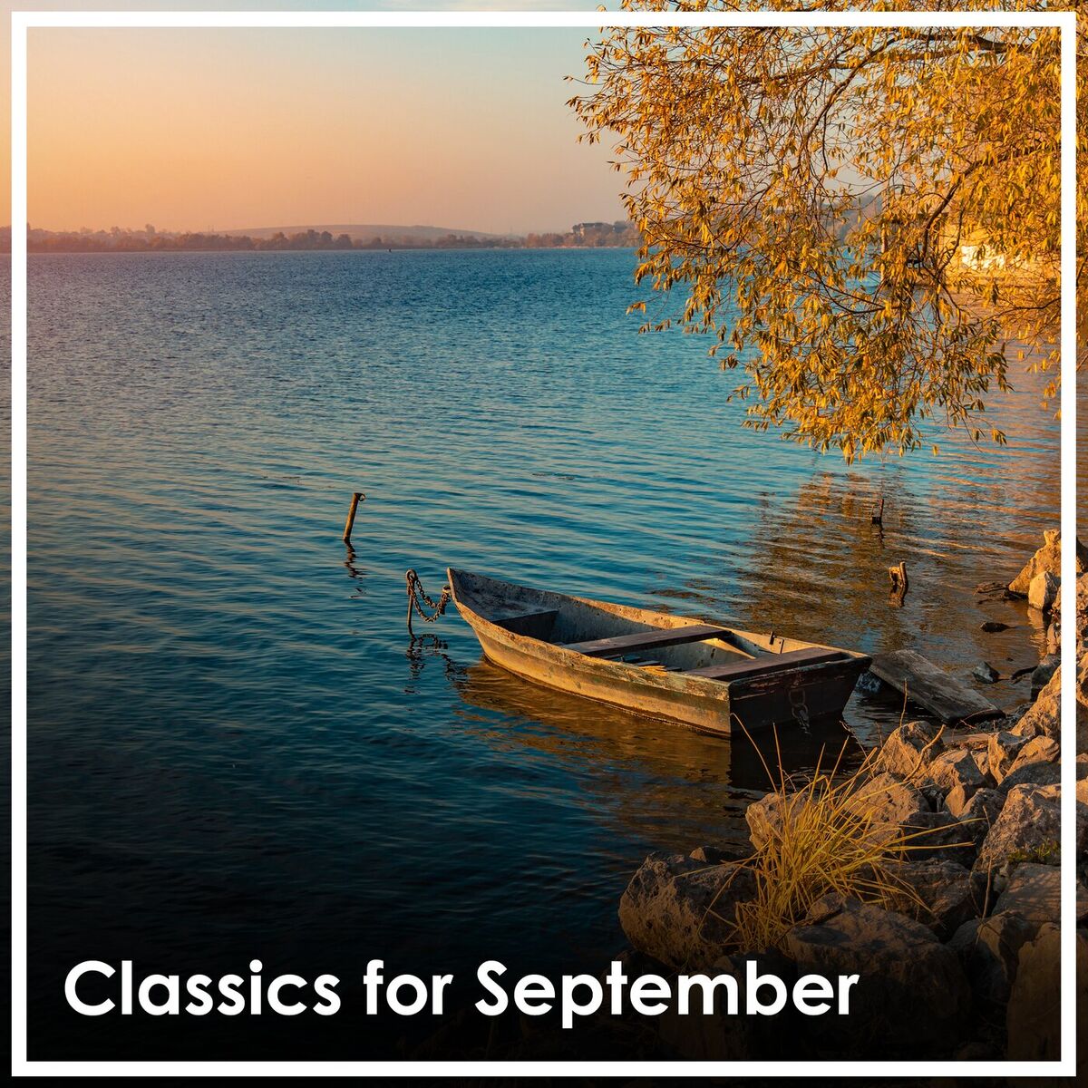 Album cover of Concerto for 2 Oboes, Strings and Continuo in D minor, R.535 : Vivaldi: Concerto for 2 Oboes, Strings and Continuo in D minor, R.535: 2. Largo