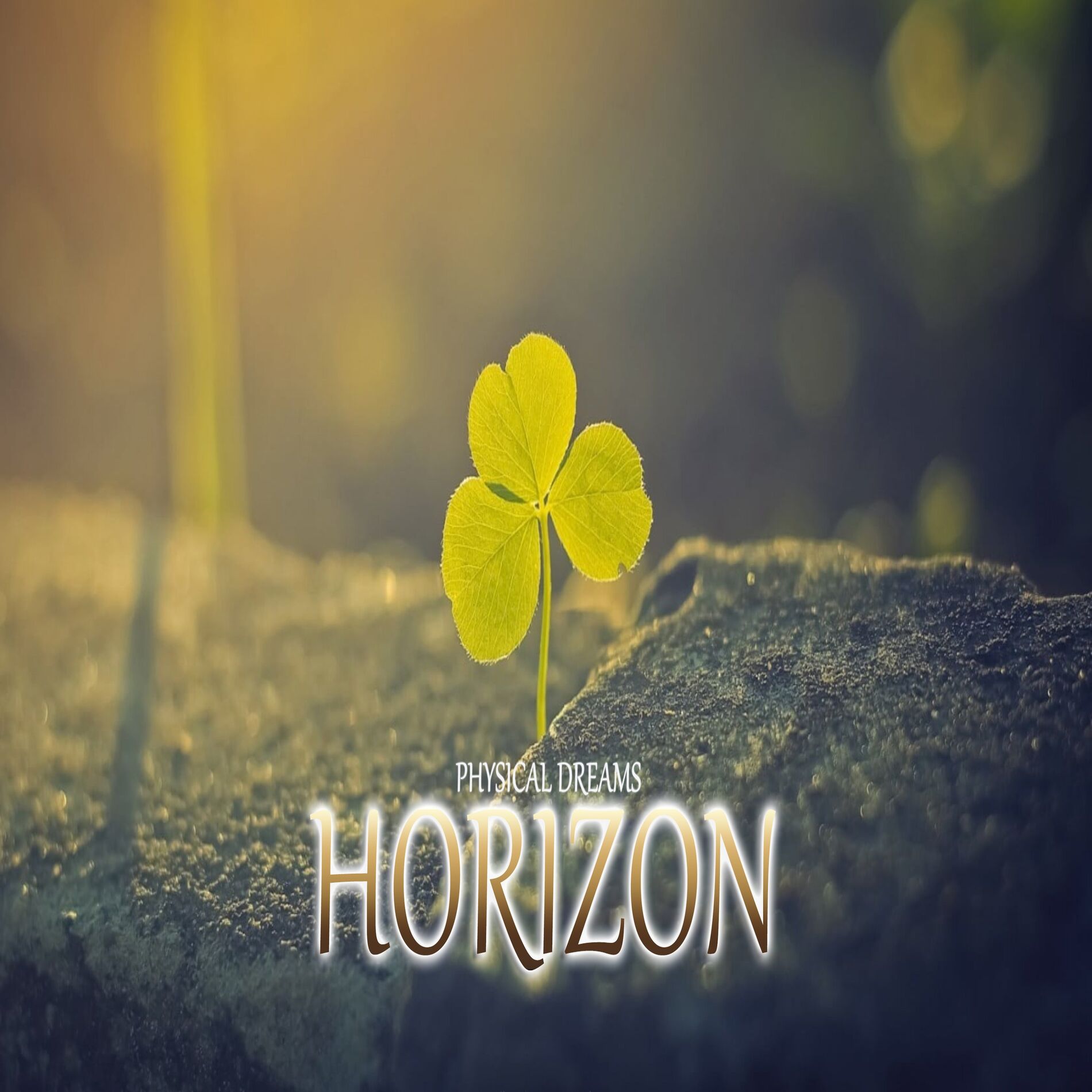 Album cover of Horizon