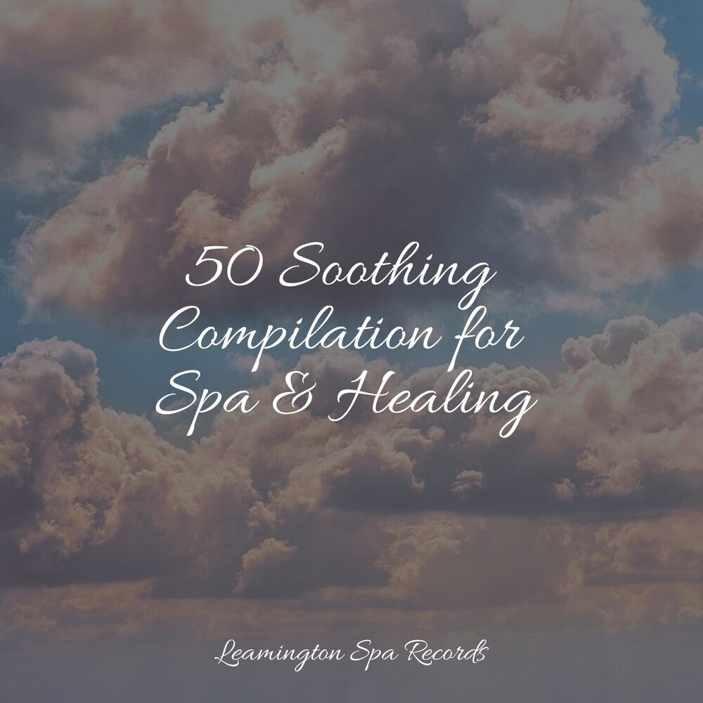 Picture of 50 Soothing Compilation for Spa & Healing