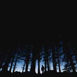 Cover of Trails