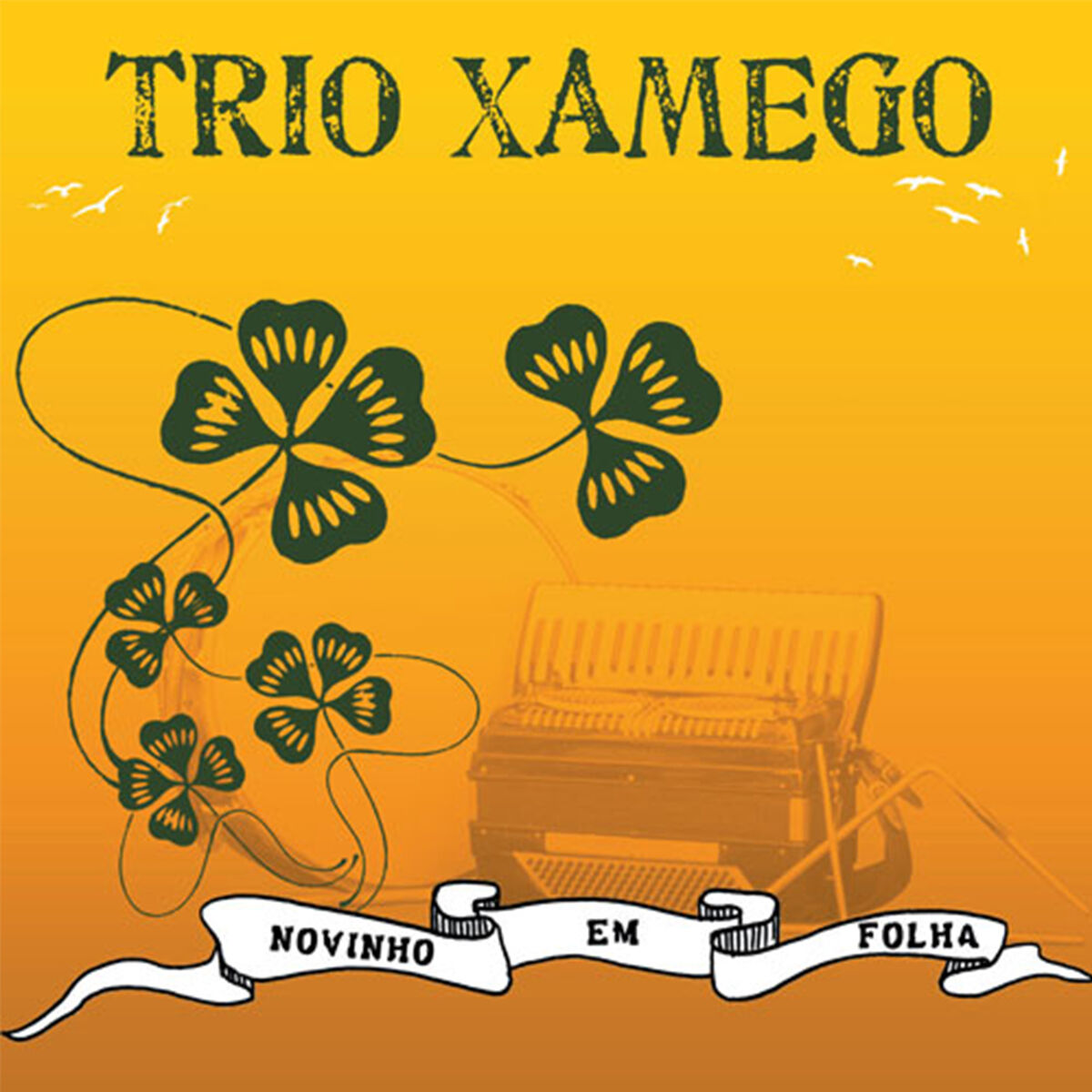 Album cover of Novinho em Folha