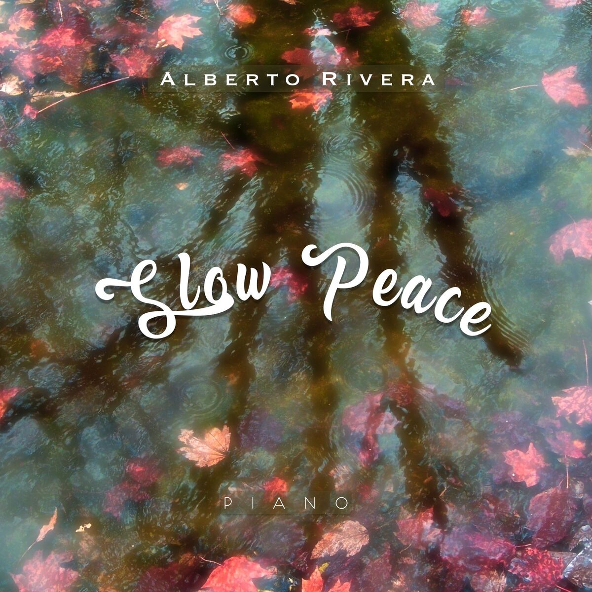 Album cover of Slow Peace